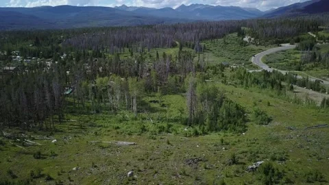 Flyover of western forest landscape Stock Footage 162401195