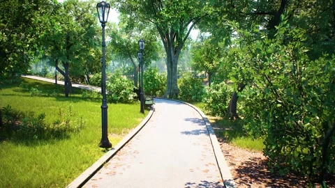 Flythrough at the City Park Stock Footage 248713717