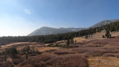 FlyThroughMountainMeadow Video stock 103174668