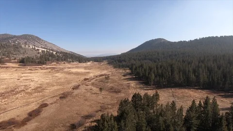 FlyThroughMountainMeadow2 Video stock 103227041