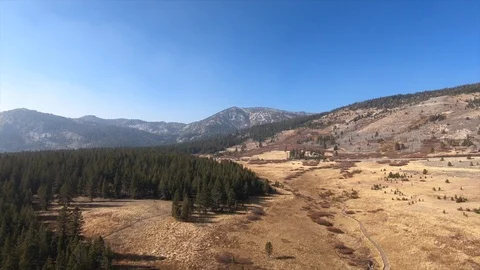 FlyThroughMountainMeadowOverRoad Video stock 103228188