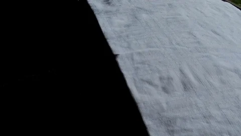 Flytrap slow motion Video stock 78132316