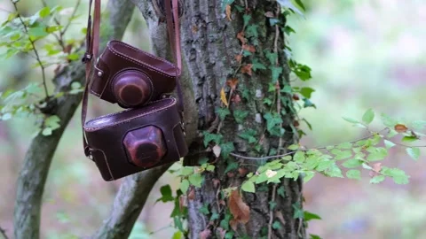 Fo 14 Stock Footage 322114757