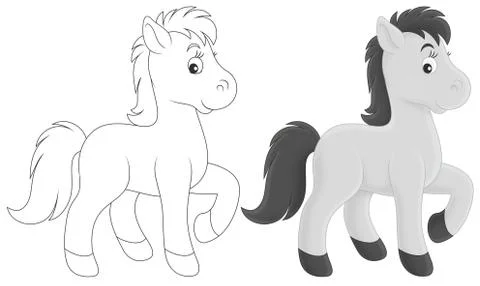 Foal Stock Illustration