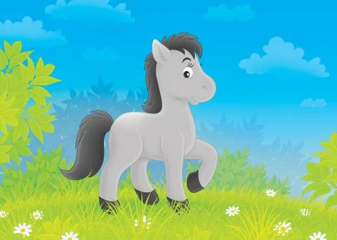 Foal on a meadow Illustrazione stock