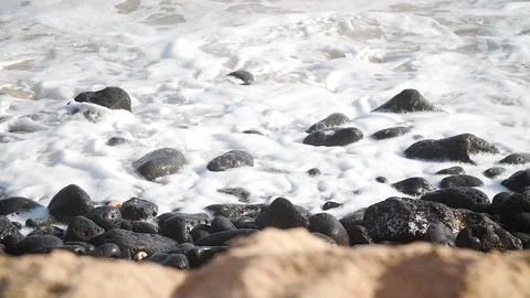 Foam 171 Stock Footage 155495503