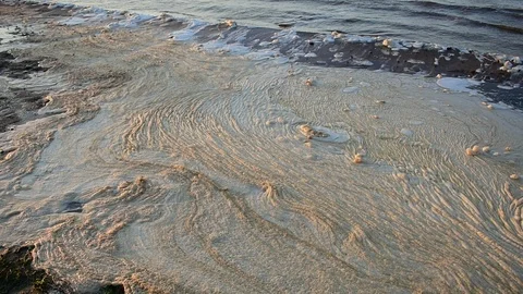 Foam after the storm Stock Footage 116545636