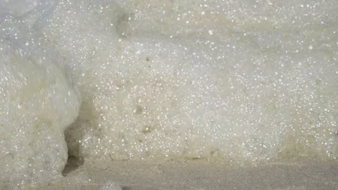 Foam of algae protein on the beach, close-up Stock Footage 97080410