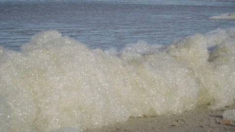 Foam of algae protein on the beach Stock Footage 97080420