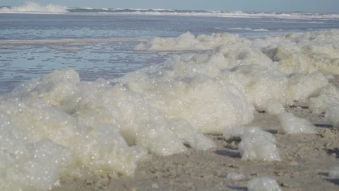 Foam of algae protein washed up on the beach Stock Footage 97082461