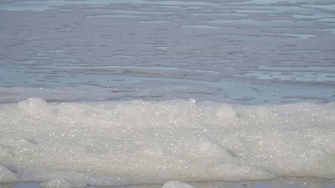 Foam of algae protein on the water surface on the coast Stock Footage 97080669