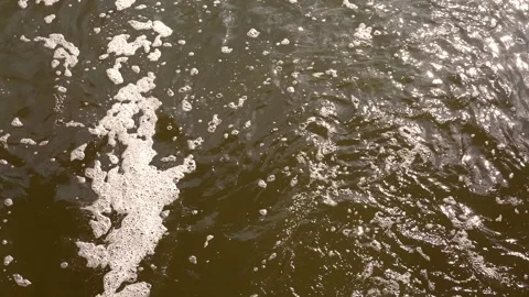 Foam and bright sunlight reflections on polluted river water Stock Footage 130770355