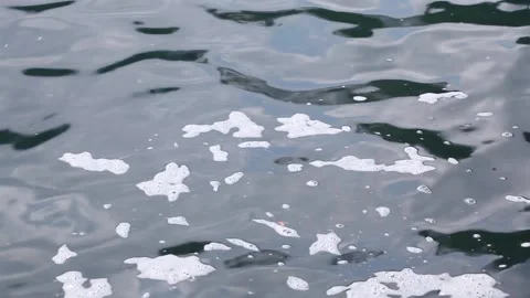 Foam and mud on the surface of the sea. Concept ecology, pollution Stock Footage 162223581