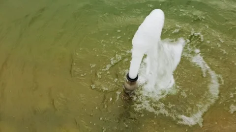 Foam and splashes of water flowing from a pipe in a swimming pool, close-up Stock Footage 311648488