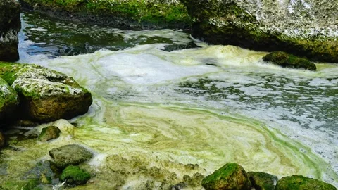 Foam associated with algal bloom covering a rocky seashore with large coast.. Stock Footage 340130780