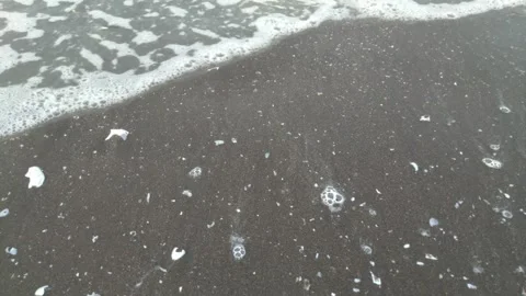 Foam on the beach 2 Video stock 273970727