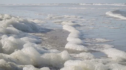 Foam at the beach in the wind Stock Footage 97081731