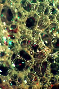 Foam bubble on black in macro version. Stock Photos