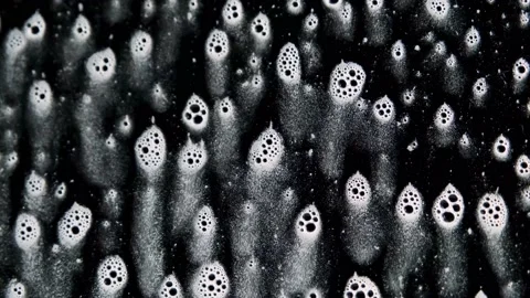 Foam bubbles on the glass 스톡 동영상 179623698