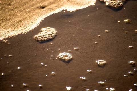 Foam bubbles of the surf on sand Stock Photos