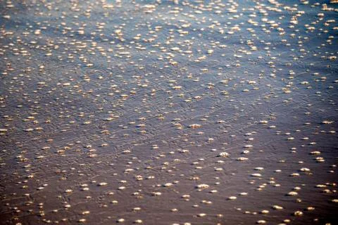 Foam bubbles of the surf on sand Stock Photos