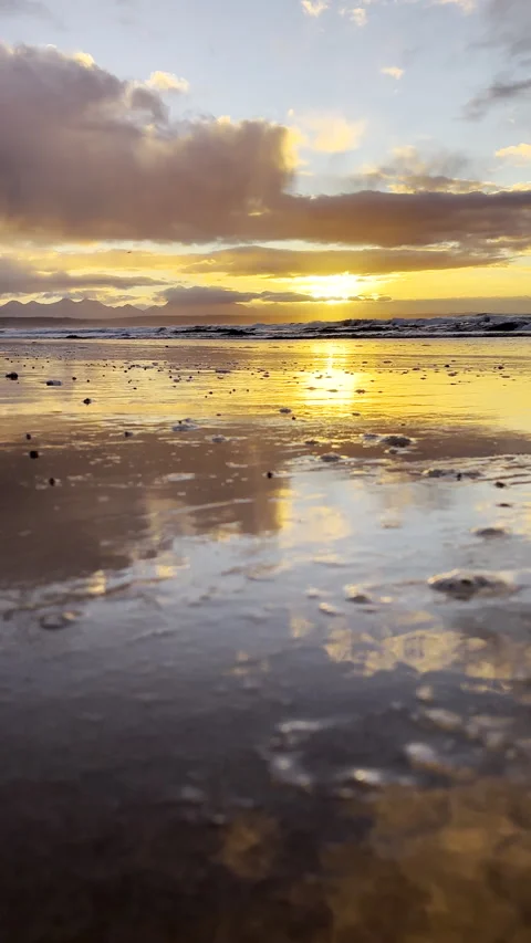 Foam bubbles on wet beach sand with warm sunrise reflected over ocean Stock Footage 343443468