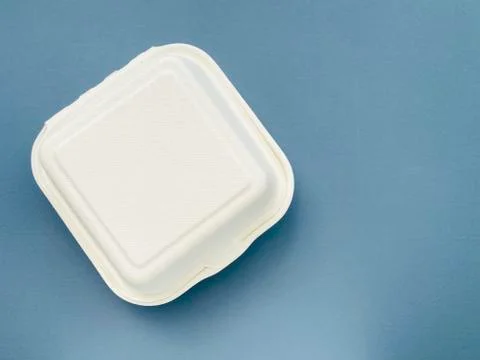 Foam burger box Stock Photos