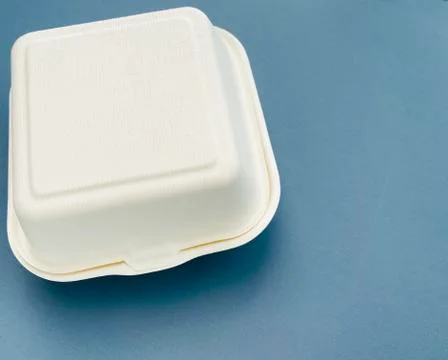 Foam burger box Stock Photos