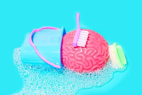 Foam Cleansing: Human Brain Model with Household Cleaning Tools Stock Photos
