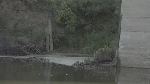 Foam Collecting on River Rubble Video stock 141163650