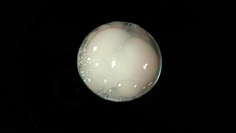 Foam Stock-Footage 144712152