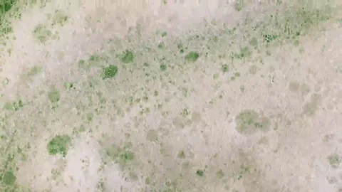 Foam on green background macro Stock Footage 69240308