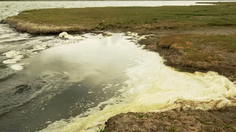 Foam on the Grevelingenmeer. Stock Footage 252179369