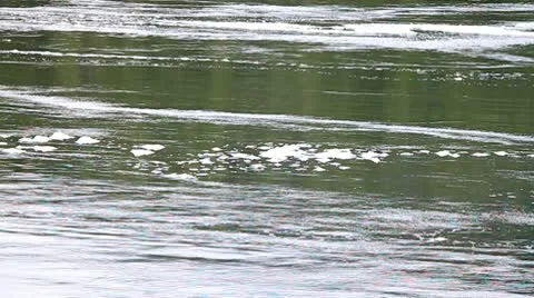 Foam on the ocean after the rapids Stock Footage 10744851