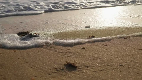 Foam from ocean waves Vídeos de archivo 321092705