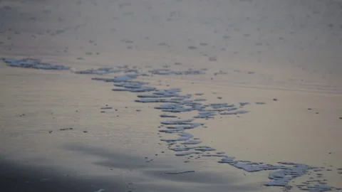 Foam ond the shore at the beach Stock Footage 267598403