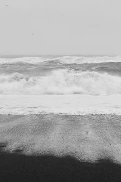 Foam pattern on black sand monochrome landscape photo Stock Photos
