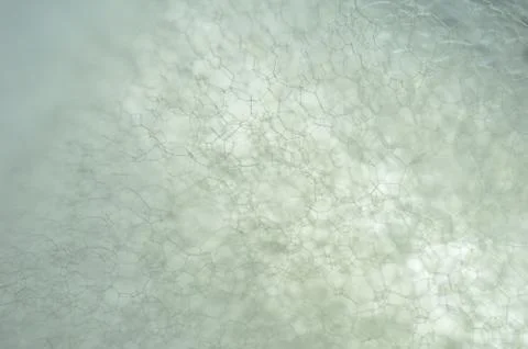 Foam Stock Photos