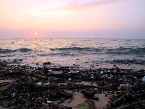 Foam plastic bamboo and waste pollution on beach sunset background Stock Photos