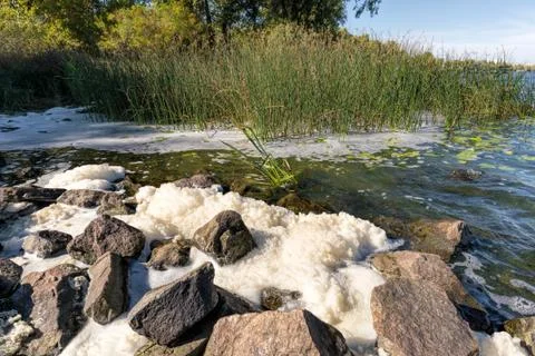 Foam Pollution in the River Фото