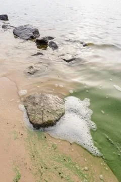 Foam Pollution in the River Фото