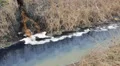 Foam pollution toxic  water from pipes in small pond Video HD