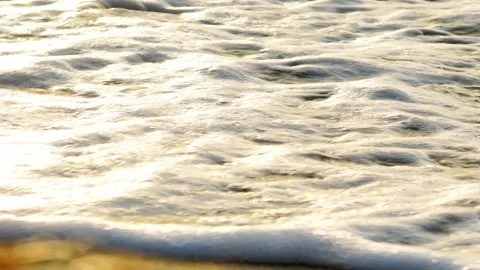 Foam rolling onto the beach in soft golden light. Stock Footage 308434566
