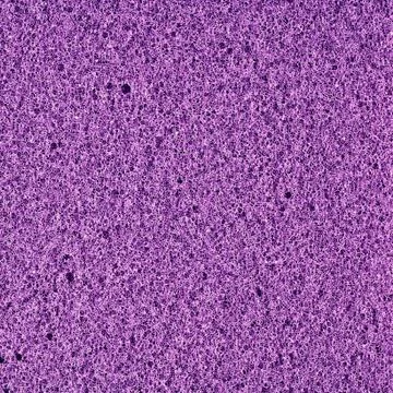 Foam rubber texture Stock Photos