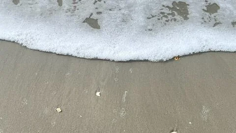 Foam on the sandy beach-01 (5) Stock Photos