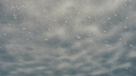Foam shampoo dripping over car window Stock Footage 87907227