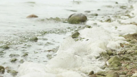 Foam on the shore of the lake. Waves run over stones. Stock Footage 153621199