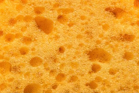 Foam sponge texture in macro. Textured background Stock Photos