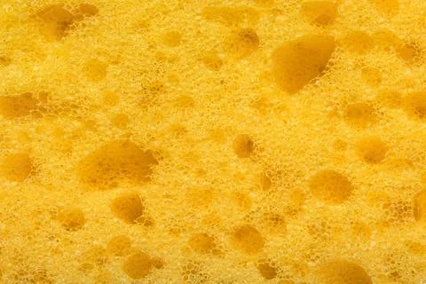 Foam sponge texture in macro. Textured background Stock Photos