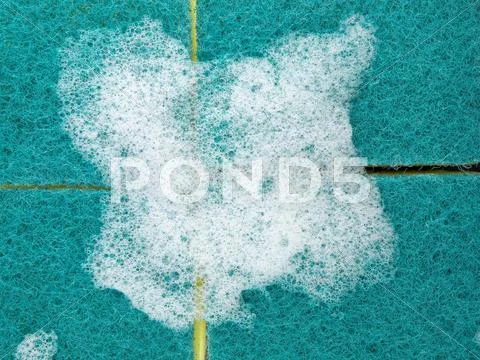 Foam on sponges Stock Photos